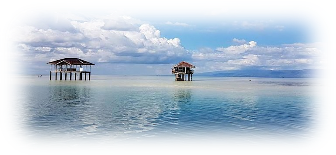 a couple of houses in the middle of a lake