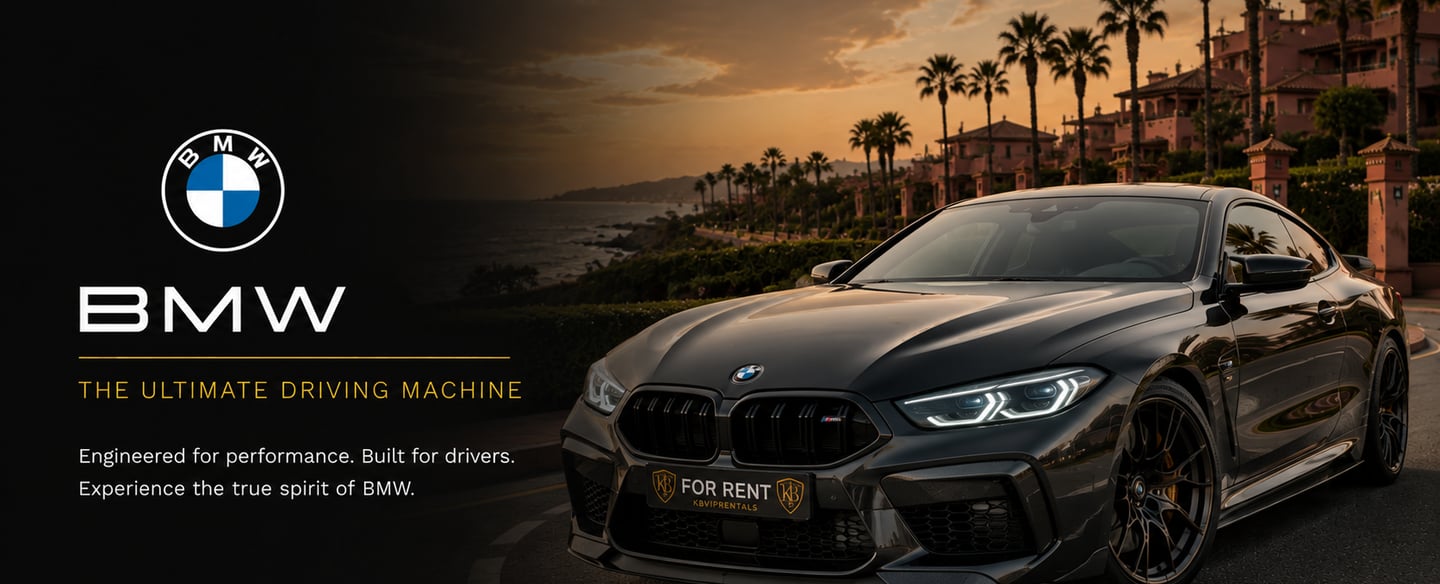 Luxury BMW rental car parked on a scenic coastal road at sunset with palm trees.