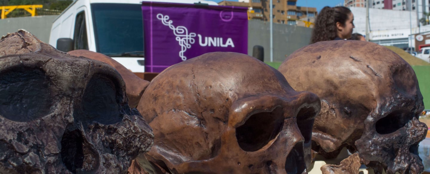 exposição de réplicas de crânios fósseis de humanos no evento unila na feira