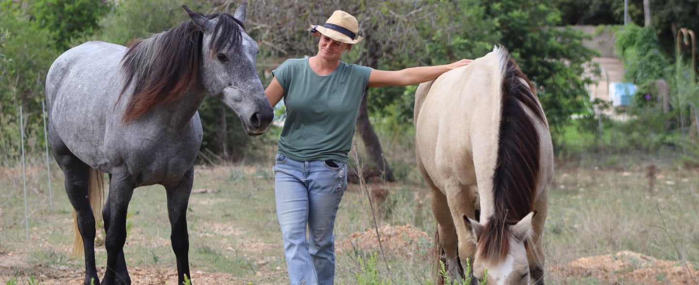 Pferd bewegt sich frei und entspannt auf der Koppel von MonTanja