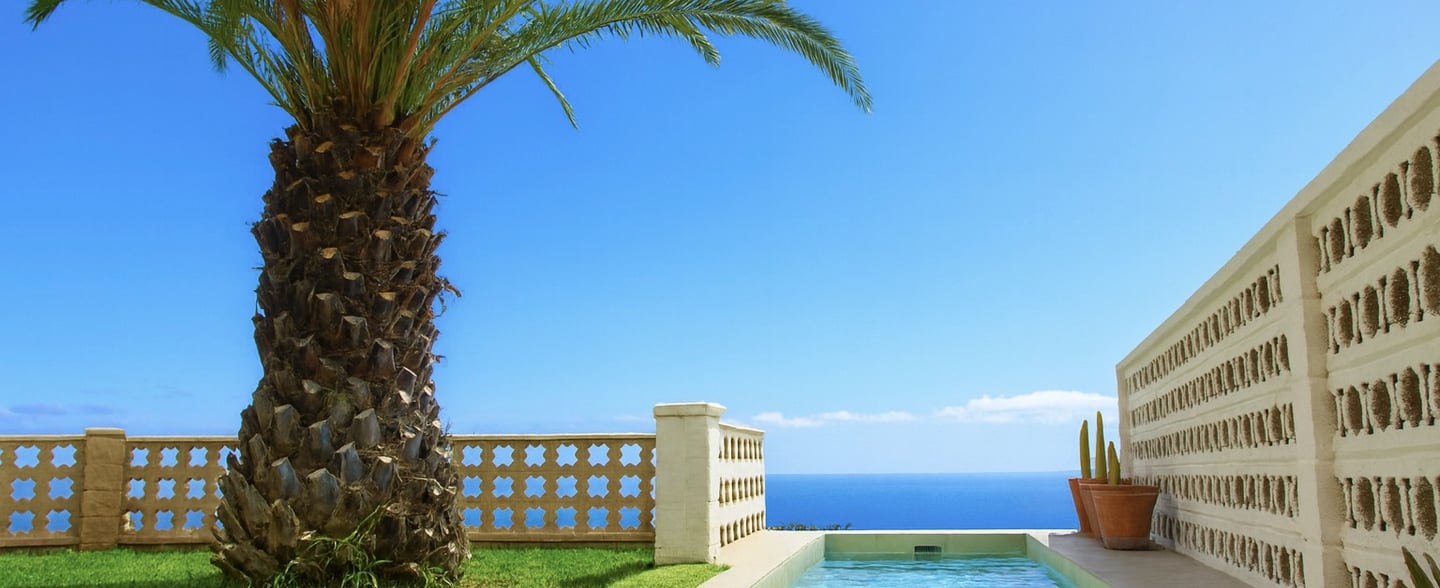 Location Bencomo Coliving Santa Úrsula Tenerife North. A palm tree and a swimming pool with sea view