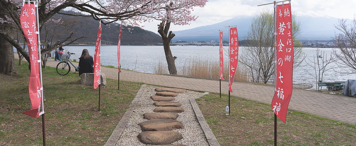a pathway with stepping stones in the grass