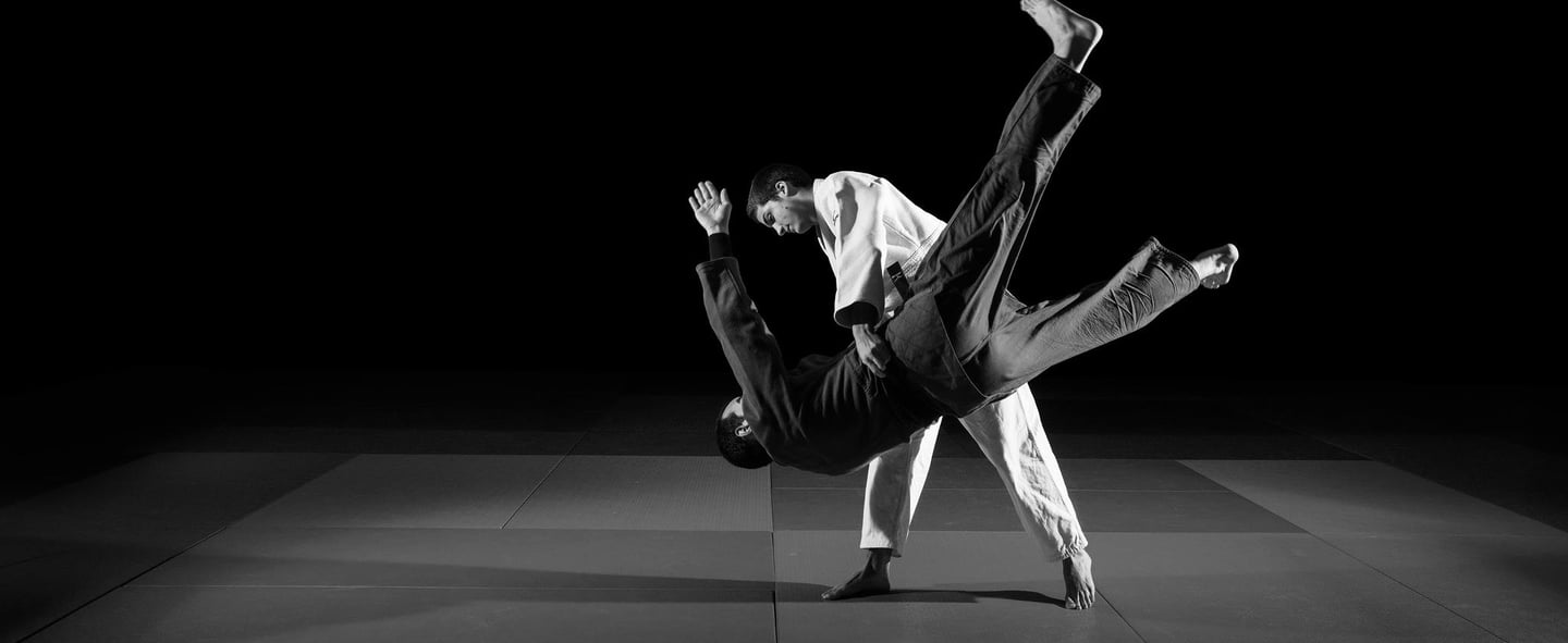 Contact Judo Paris 15 information renseignement