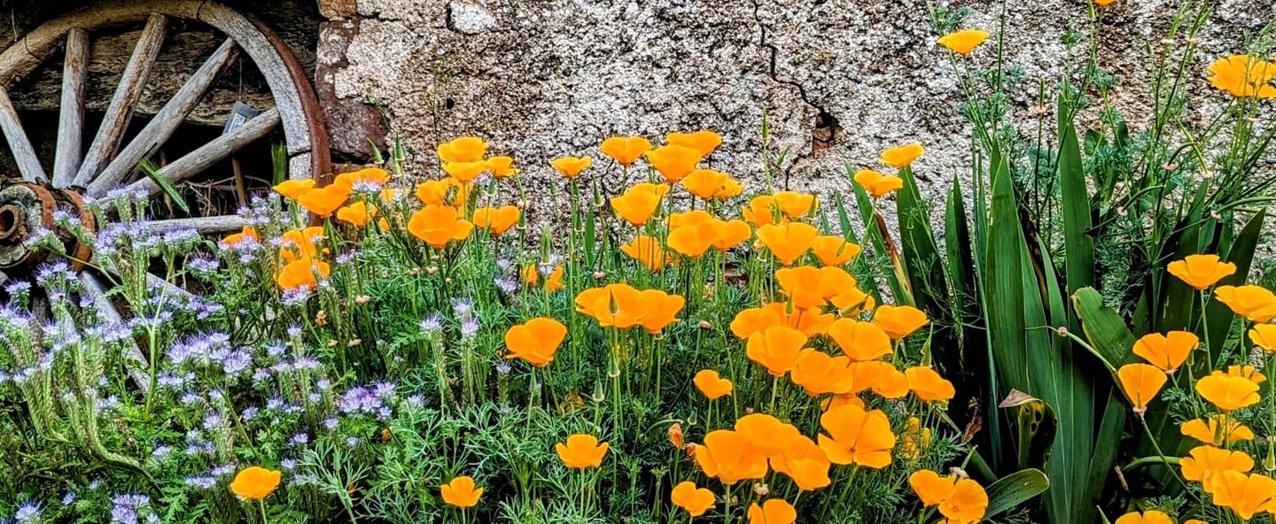 une roue de chariot se trouve devant un mur de pierre et des fleurs devant