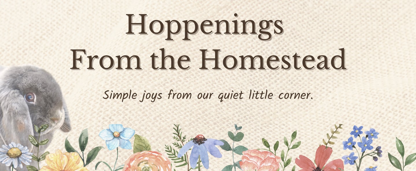 Hot Cross Buns' Hoppenings From the Homestead Banner with Boggle peeking through wildflowers