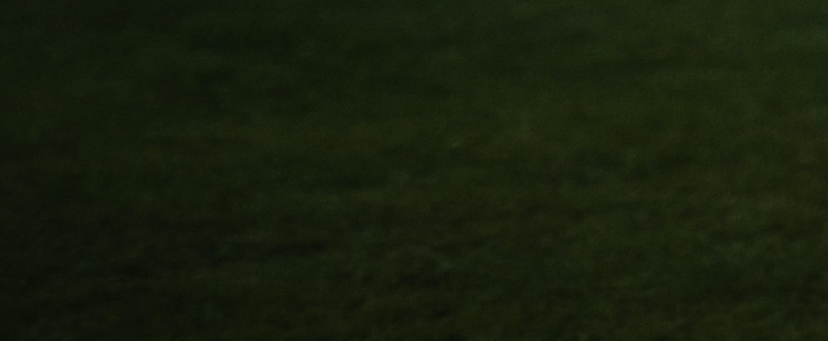 labai tamsios žalios spalvos fonas