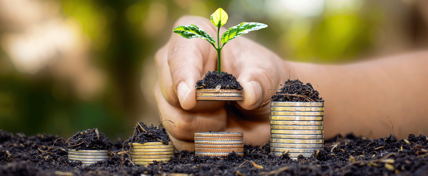 a person holding a plant growing from coins