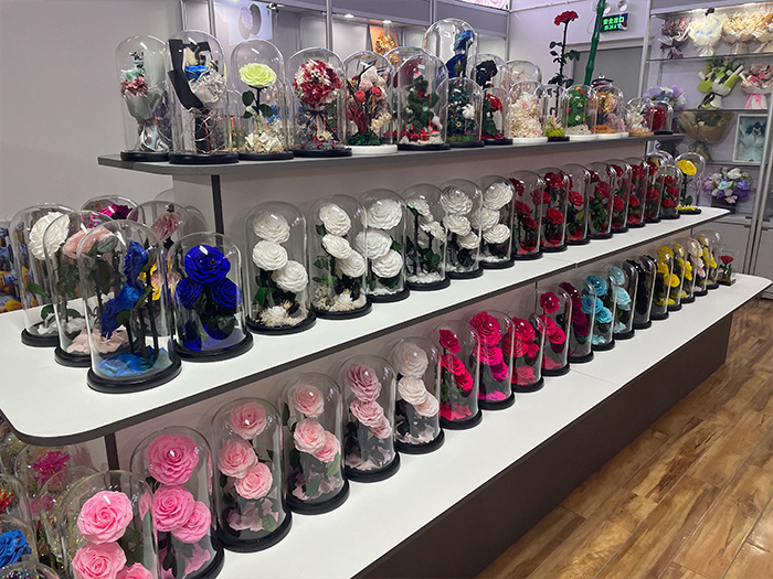 Various Styles of Preserved Rose Glass Domes