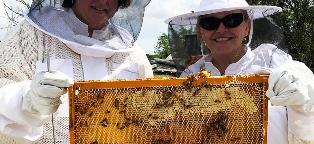 Large commercial bee yard with rows of hives and beekeepers in matching protective suits from Heliotrope Bee.