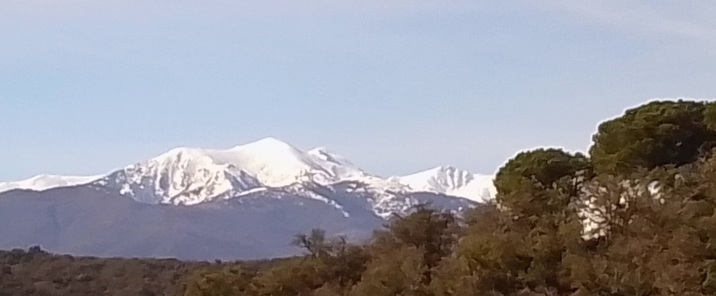 une forêt surplombée par la montagne canigou