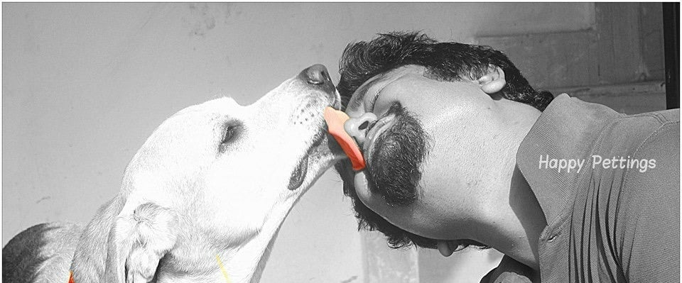 Dog Boarding, Dog Boarding near me, Pet Boarding, Pet Boarding near me, Dog Care, Happy Pettings