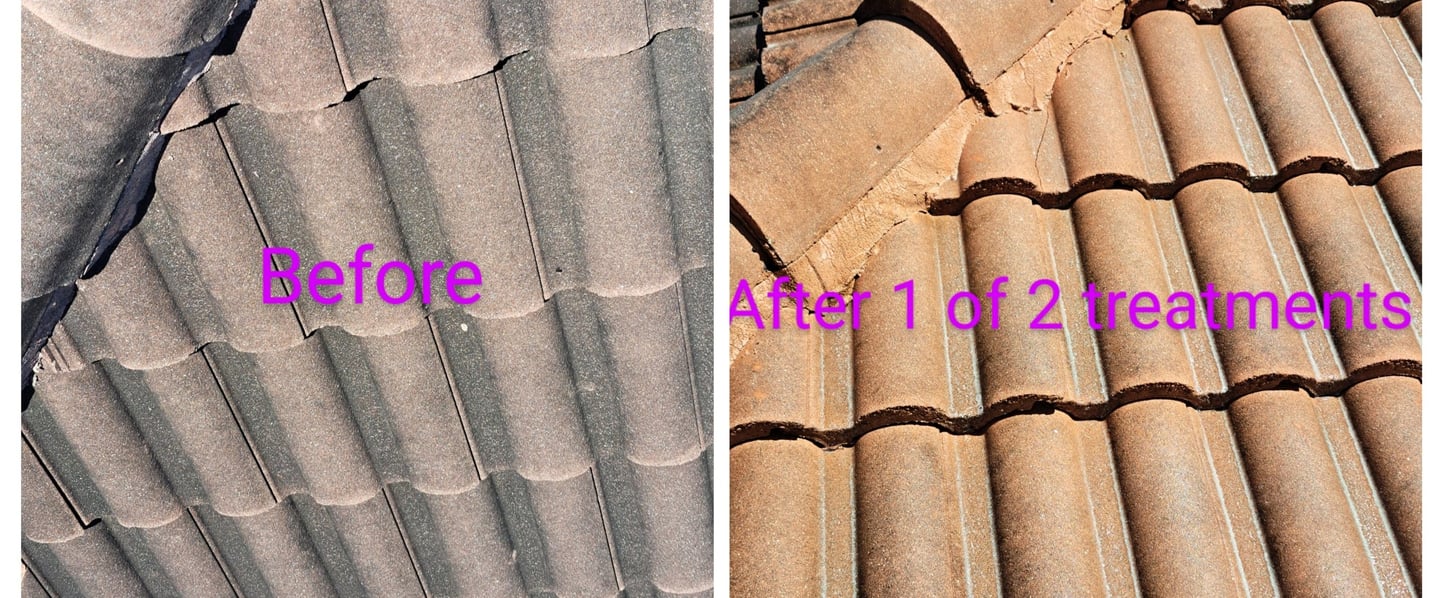 neglected roof before and after