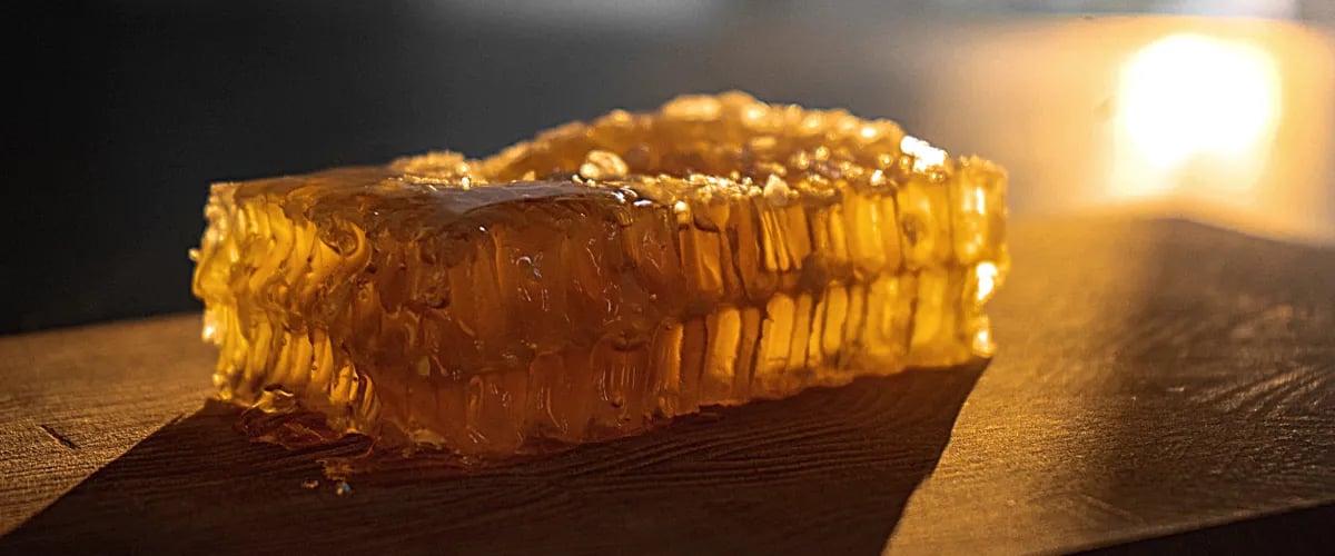 FIR Vanilla Honigwabe „Tannenperle“, griechischer Premium-Honig