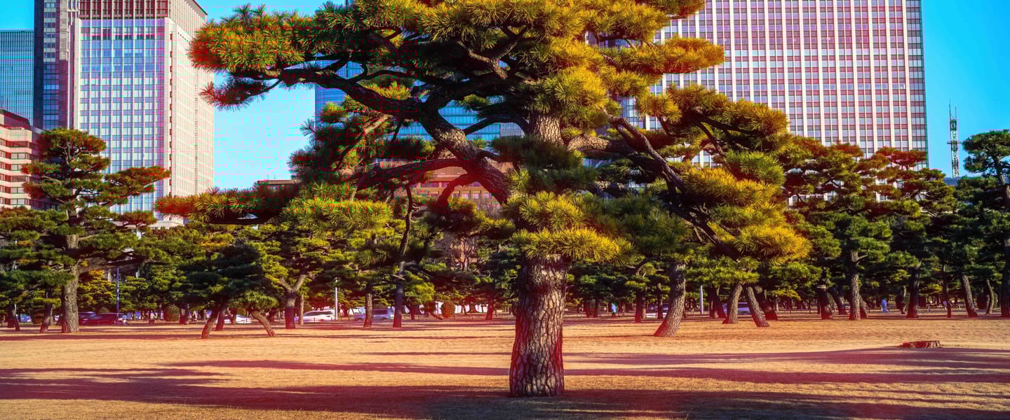 Tokyo Cinematic