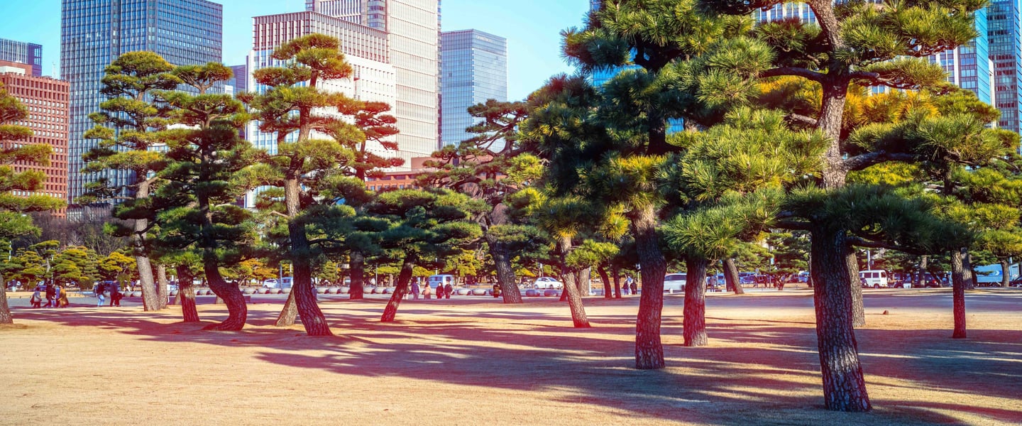 Tokyo Cinematic