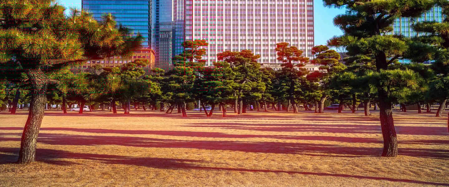 Tokyo Cinematic