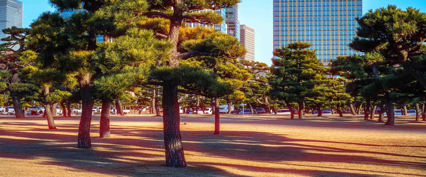 Tokyo Cinematic