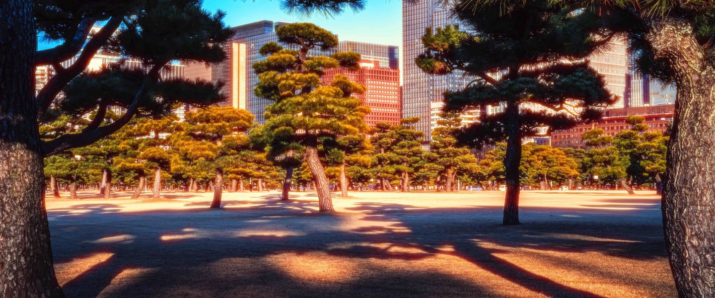 Tokyo Cinematic