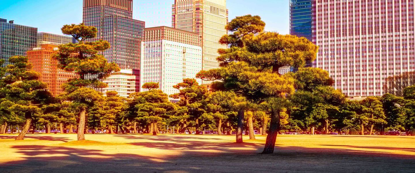 Tokyo Cinematic