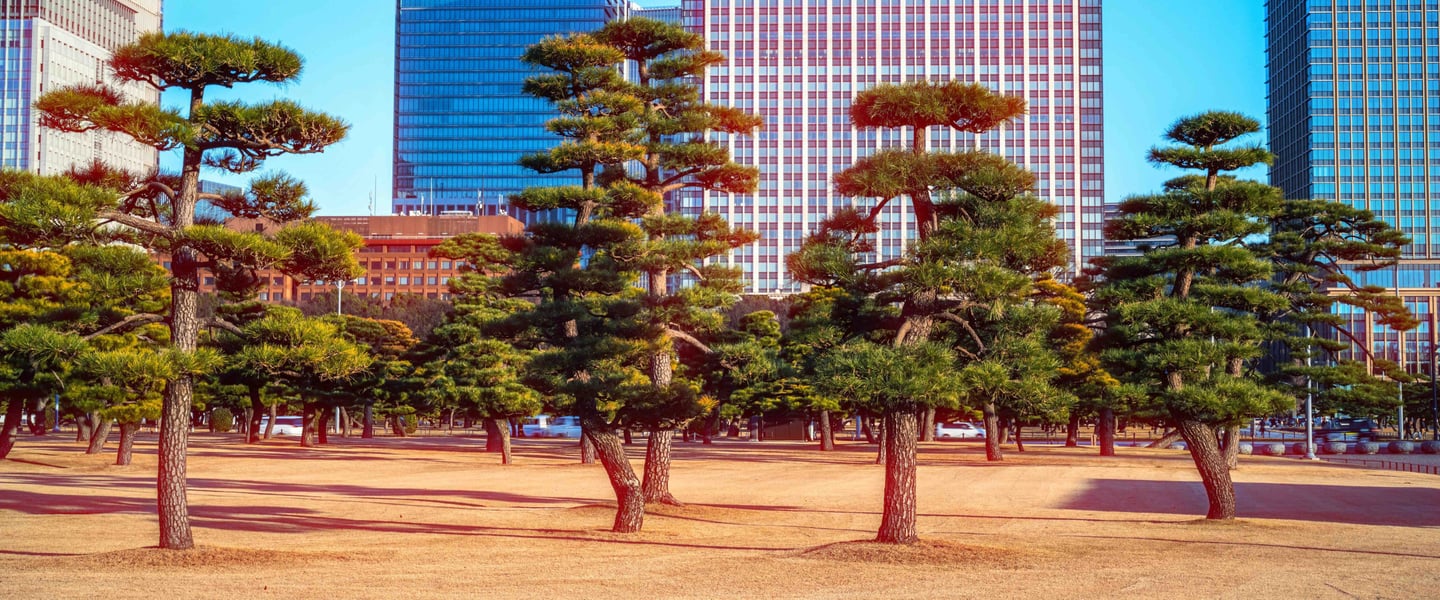 Tokyo Cinematic