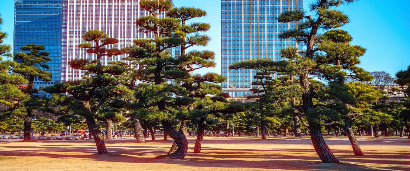 Tokyo Cinematic
