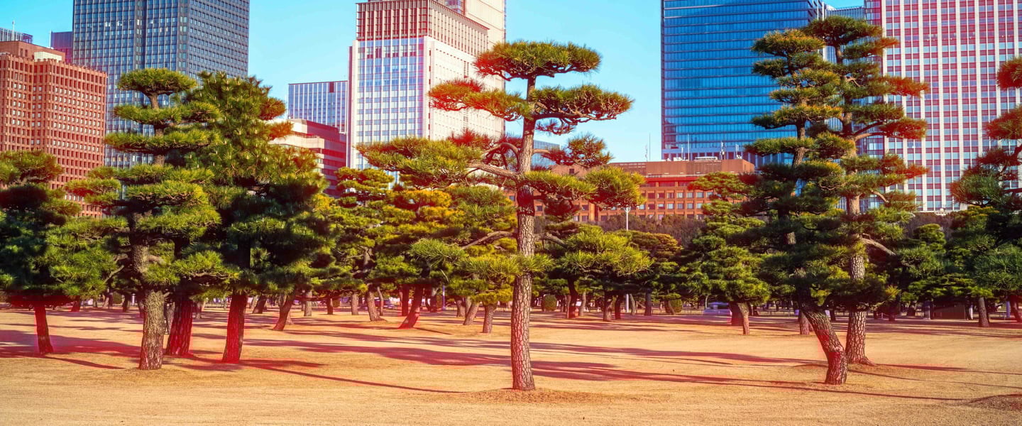 Tokyo Cinematic