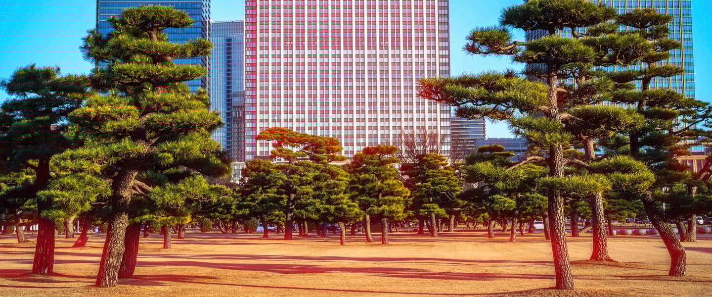 Tokyo Cinematic