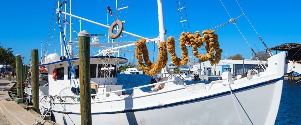 tarpon springs florida white boat with sponges on deck