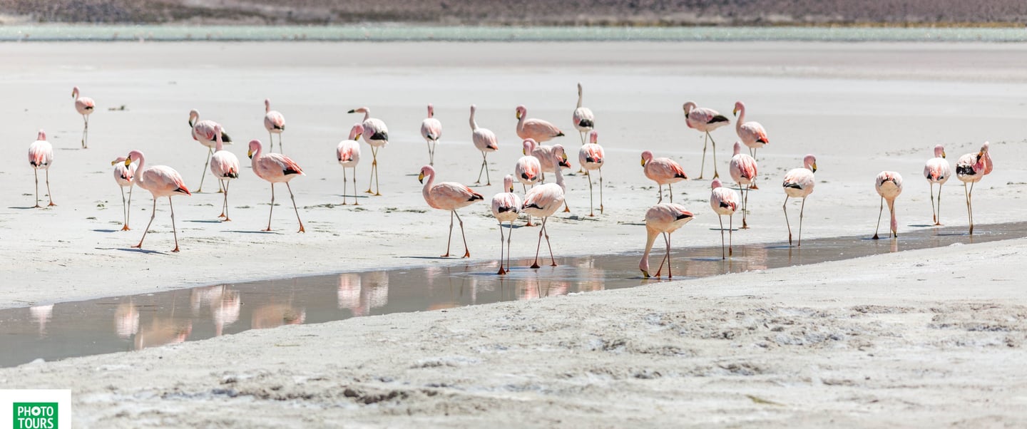 Salt Flat Uyuni Landscape & Nightscape Photography Tour 9D/8N