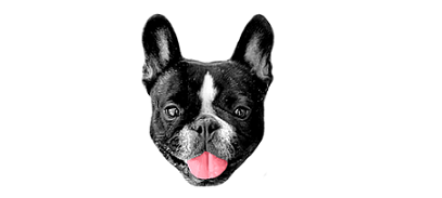Logo Mon petit parrain | bouledogue