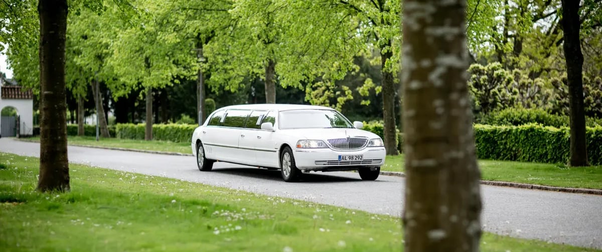 White limousine driving on a tree-lined road
