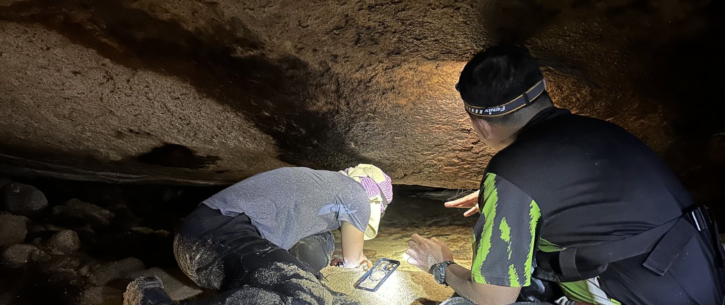 NATURETECH ecologist conducting herpetofauna survey in Malaysian forest habitat.