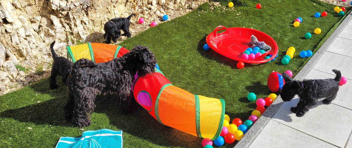 Trudi vom Spakenberg