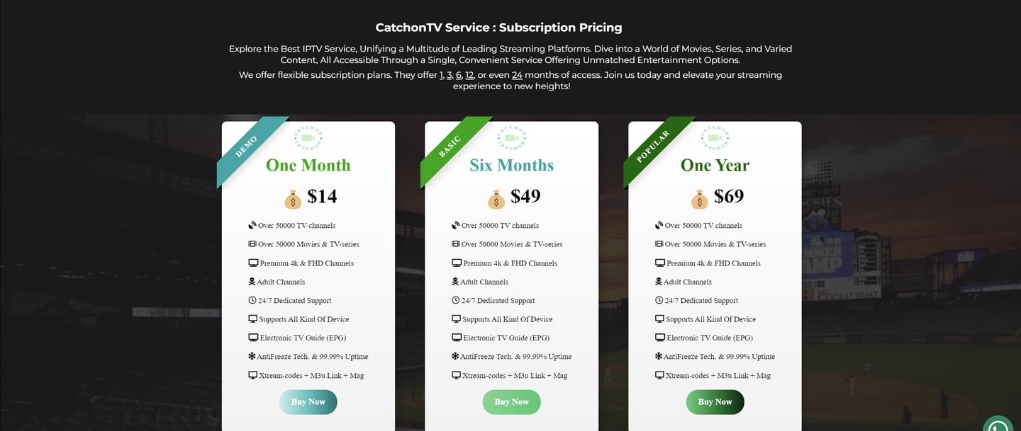 screnshot of catchon tv pricing