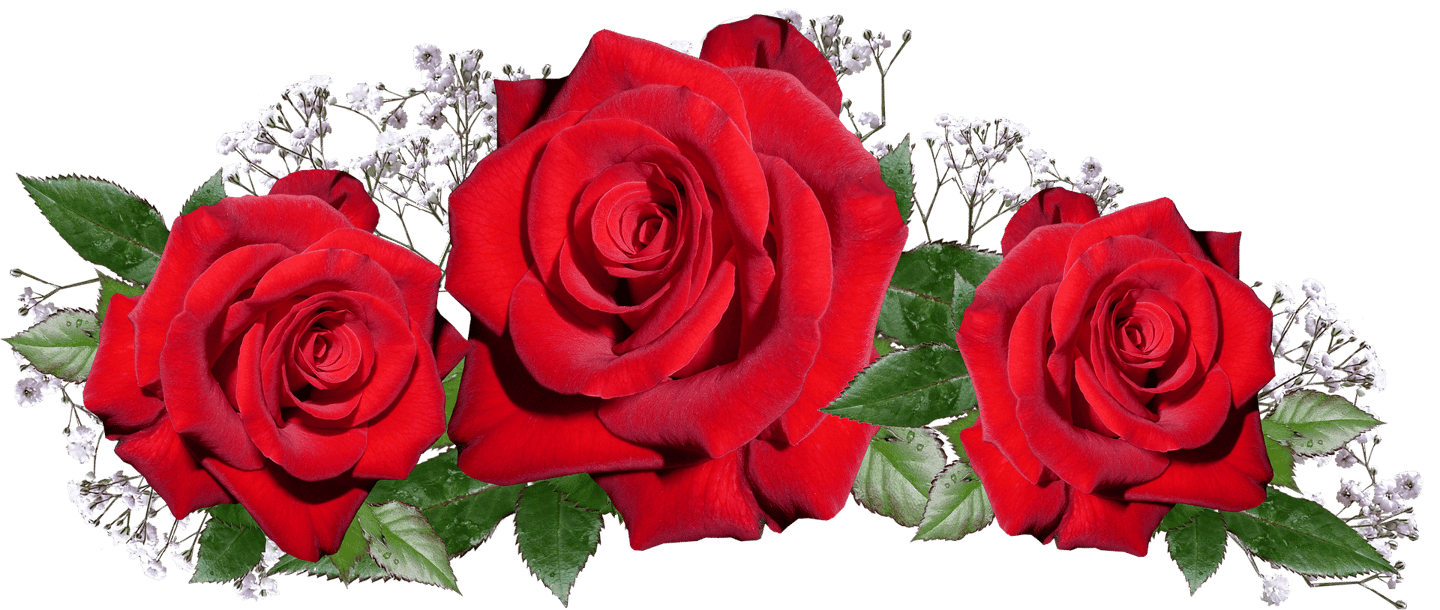 O Yoga e as Rosas
