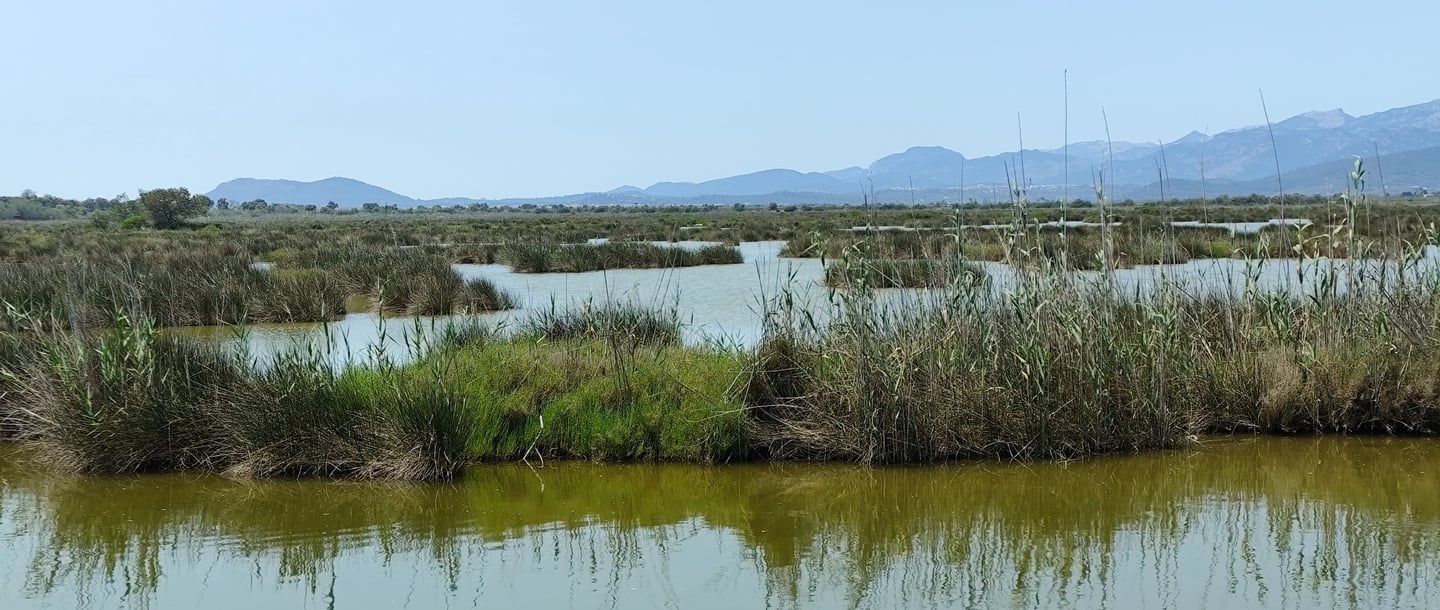 The Albufera in Mallorca with water and mountains in the background