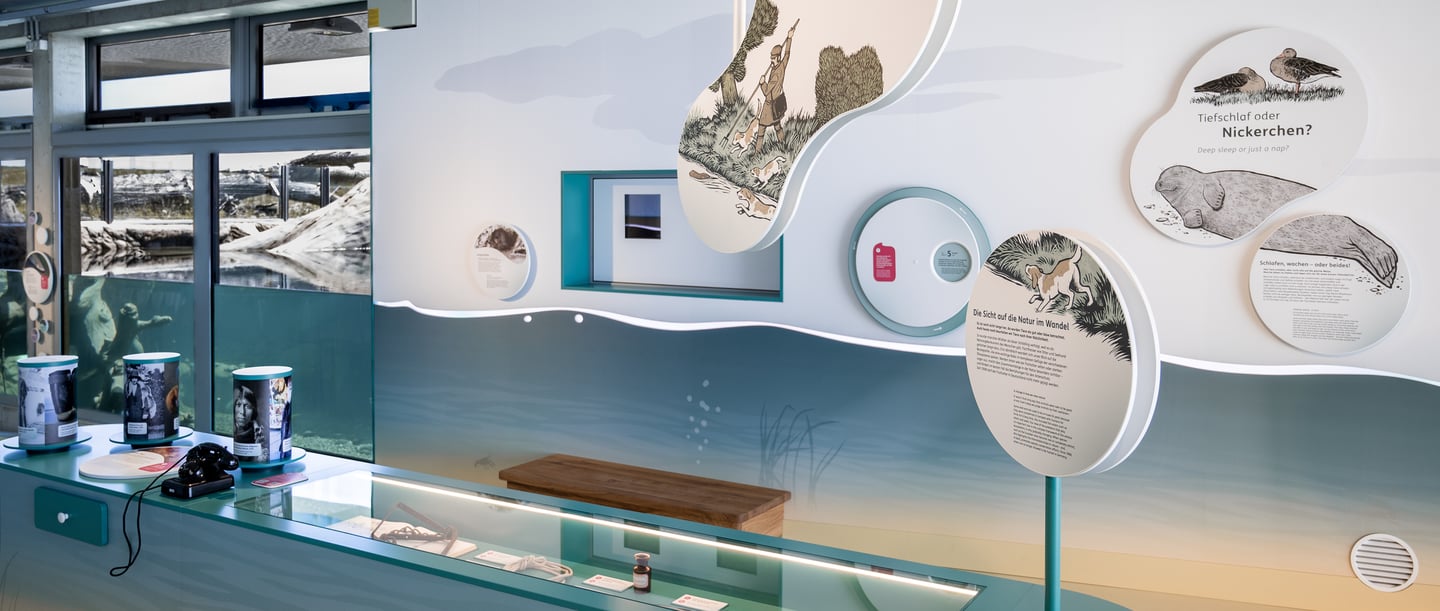 Wasserlinie des Aquariums - ein grundlegendes Element, das das gesamte Erlebnis vereint.