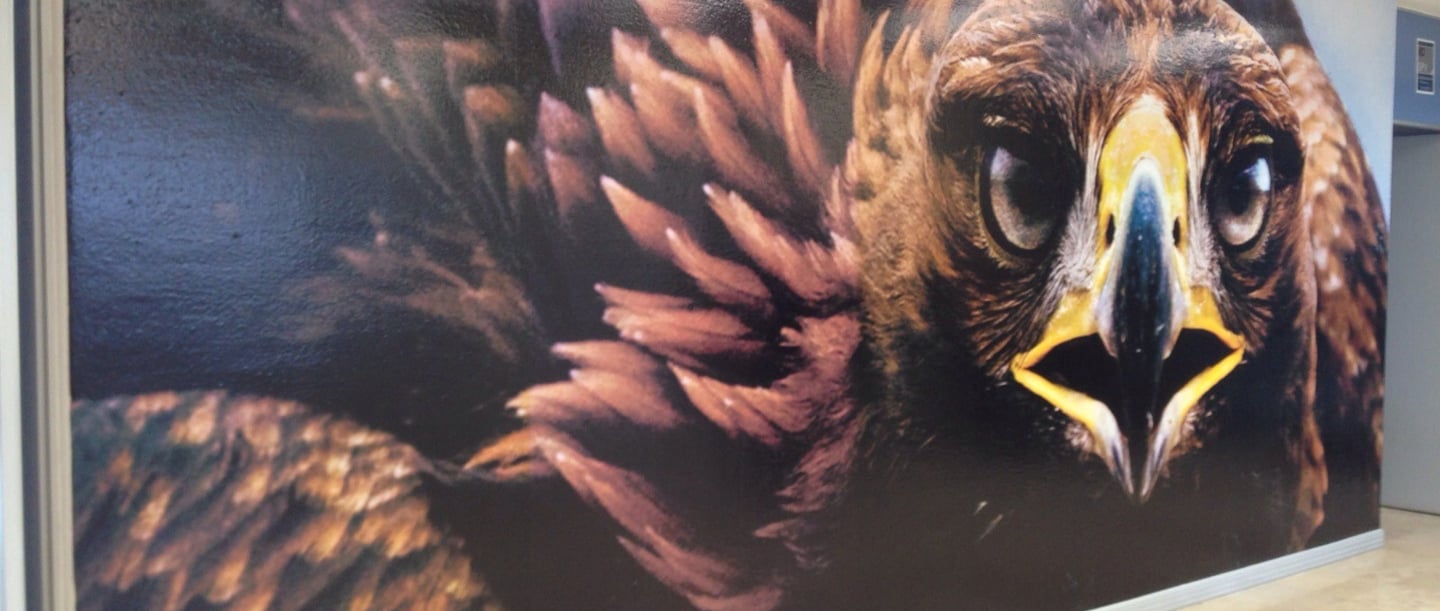 vinil adhesivo para negocios  rotulación con vinil en cristales rotulación en vinil para negocios