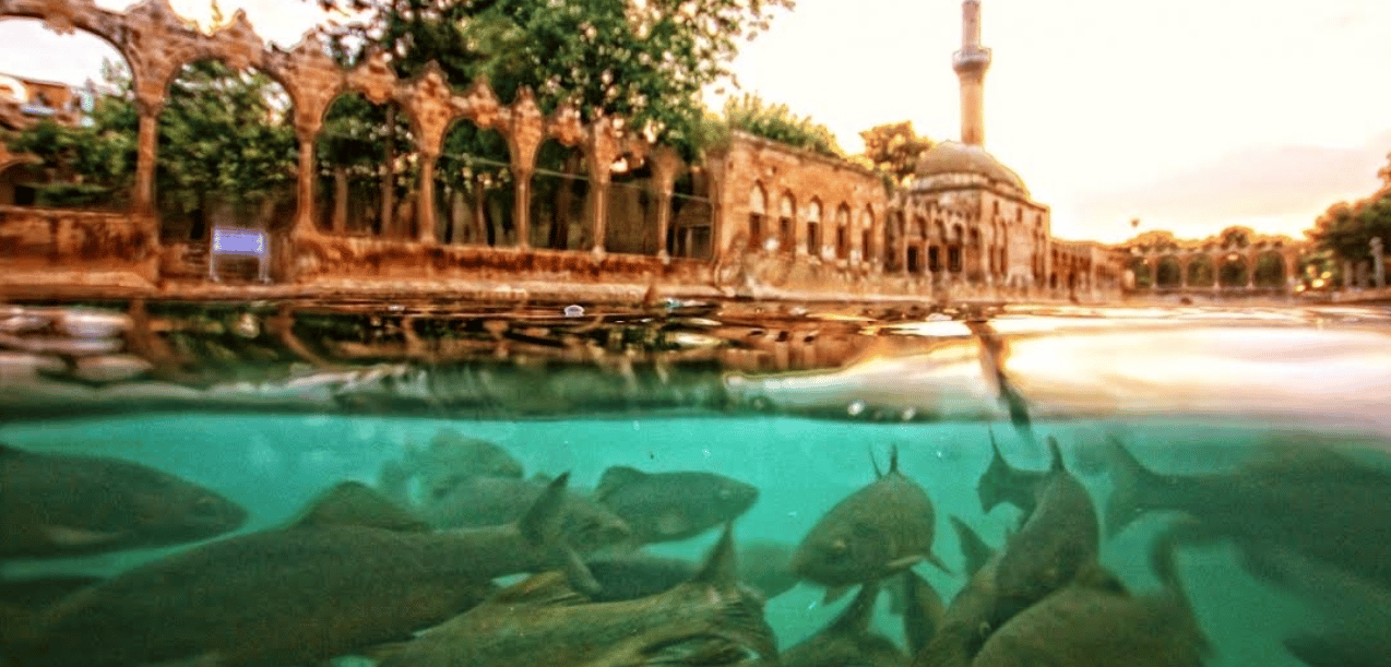 Urfa’da Balıklıgöl Çevresinde Ne Yapılır