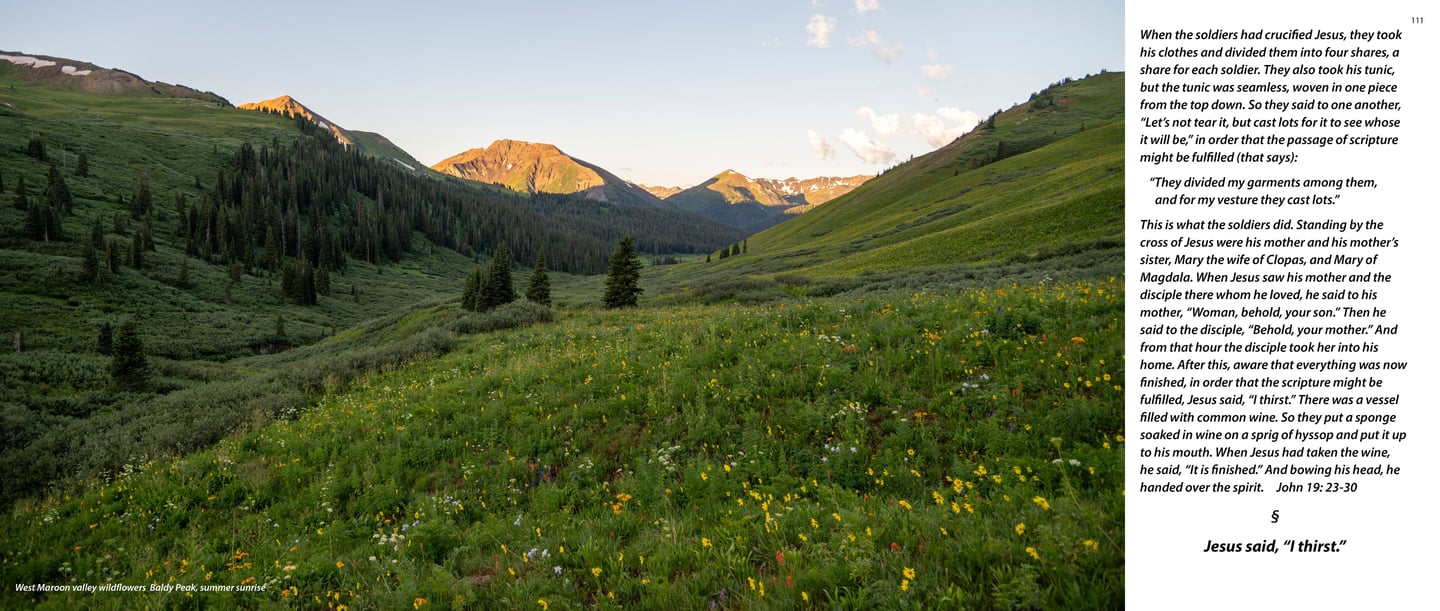 West Maroon Valley wildflowers and Baldy Peak at sunrise