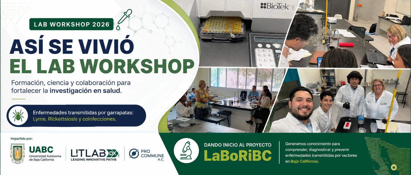 Banner de workshop en UABC