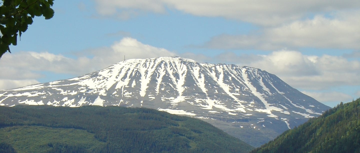 a blue sky and a snow covered mount gausta