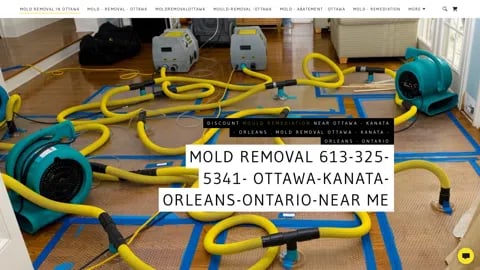 Mold removal air scrubbers