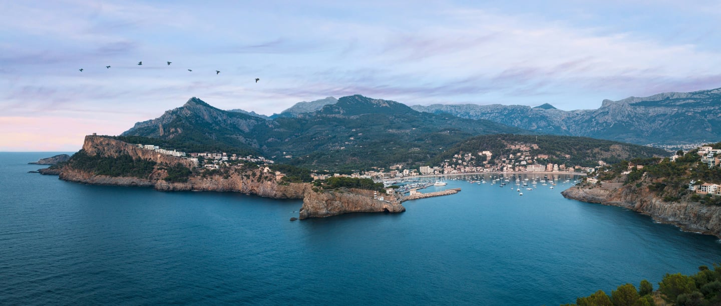 a view of a bay in Soller Mallorca with a bird flying over the water