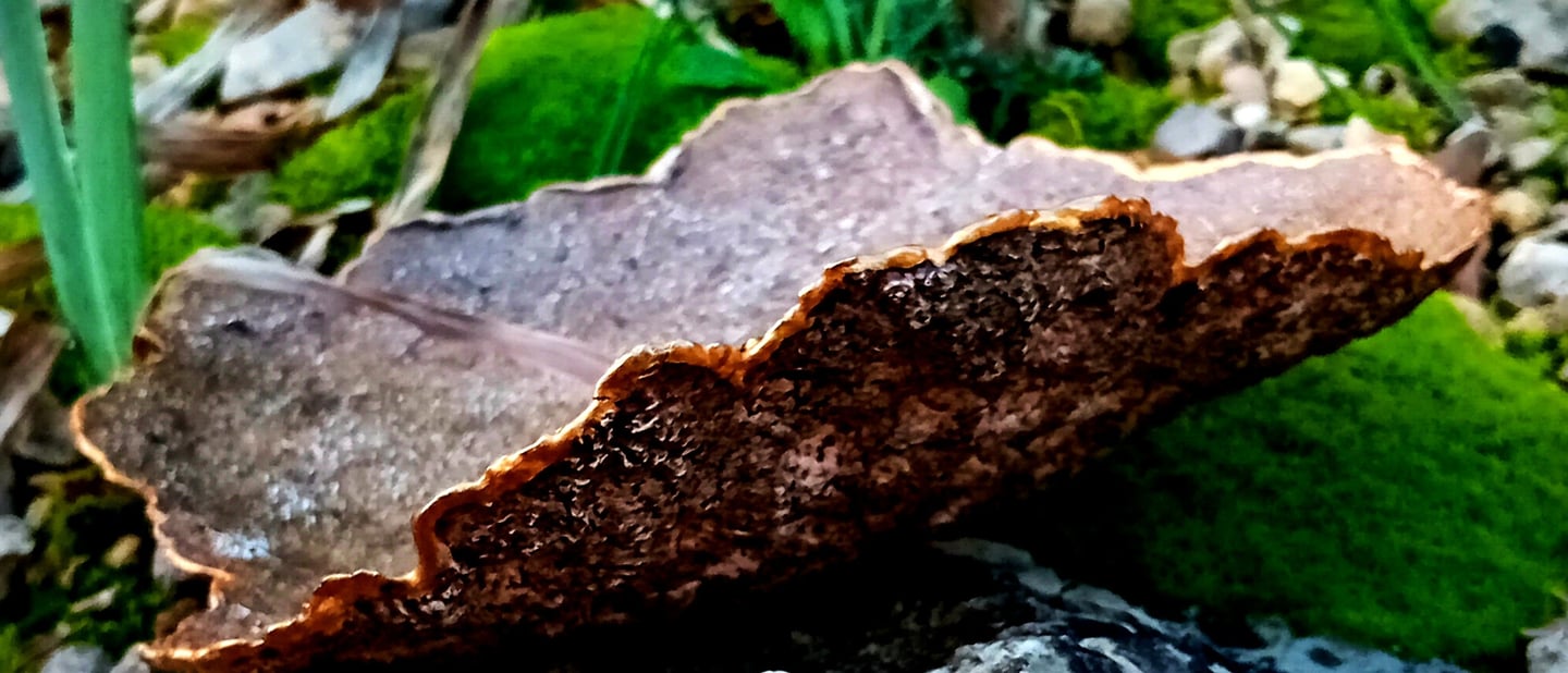 écorce en argile végétale faite à partir de papier recyclé imitation du bois décor glacis acrylique