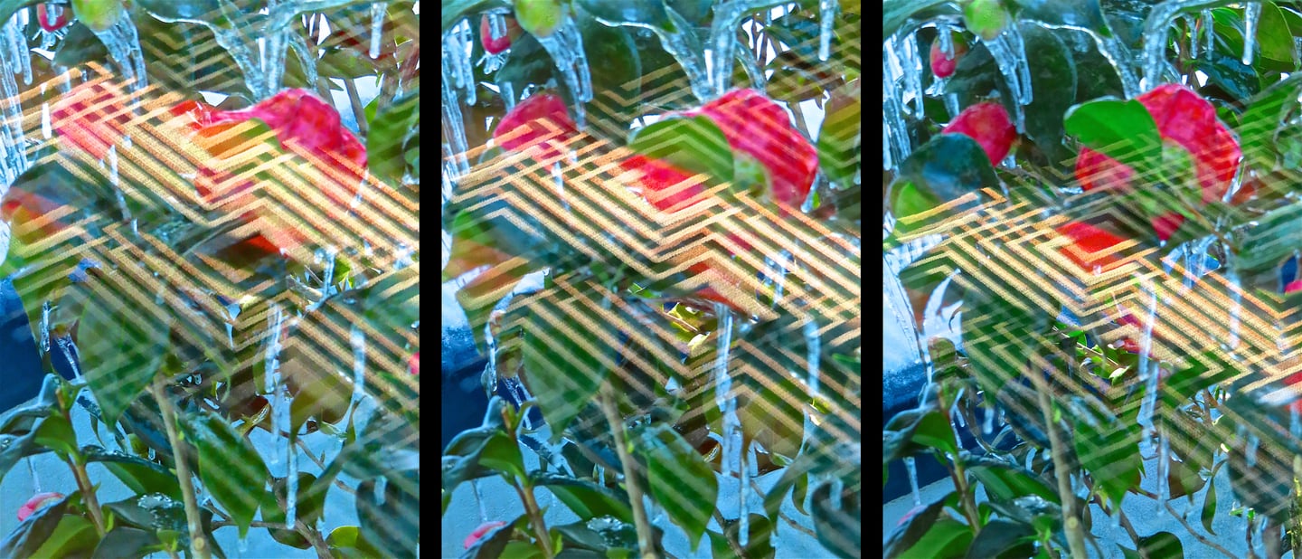 "4 Georg Schönfeld" © 2025 Heinz Lechner