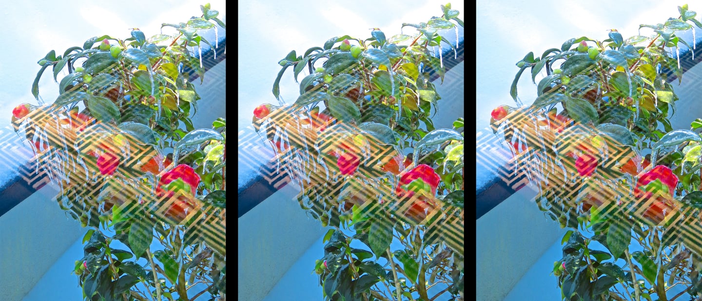 "4 Ronny Zuckermann" © 2025 Heinz Lechner