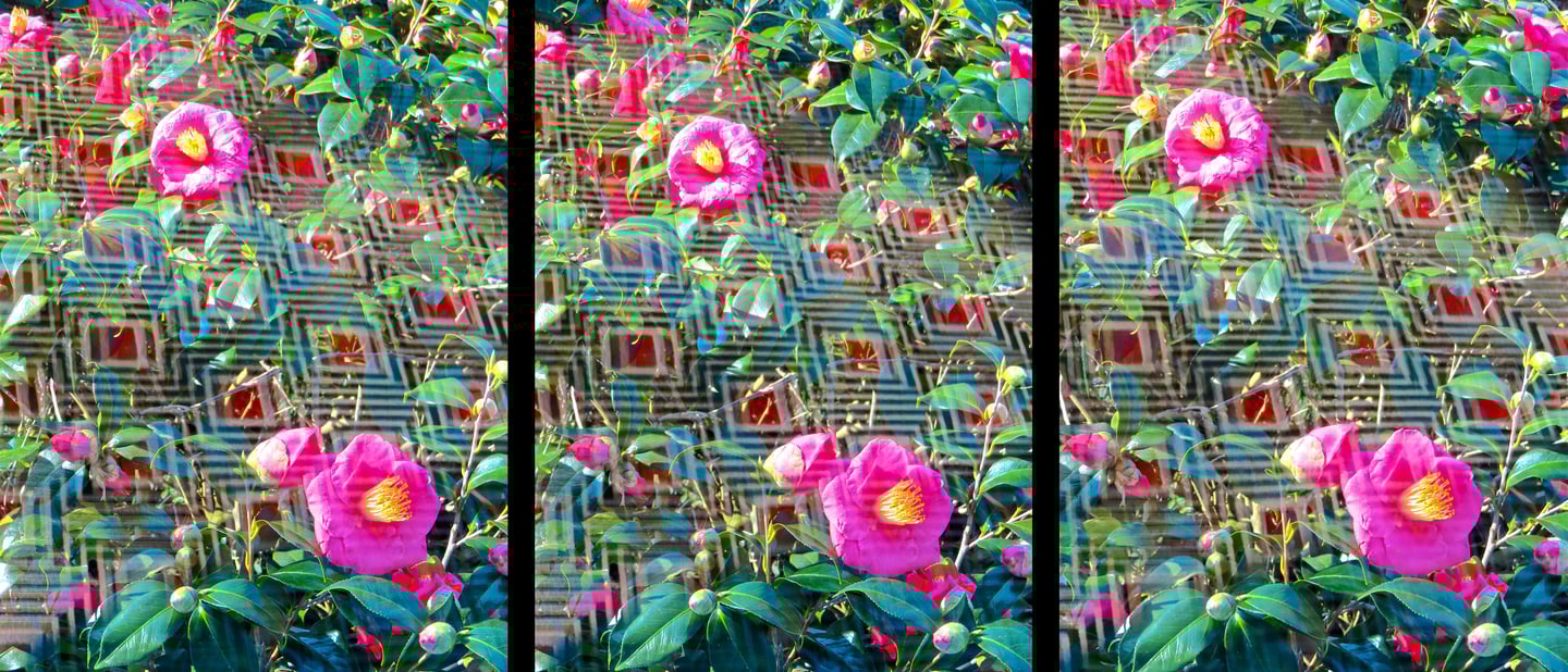 "4 Werner Rosenberger" © 2025 Heinz Lechner