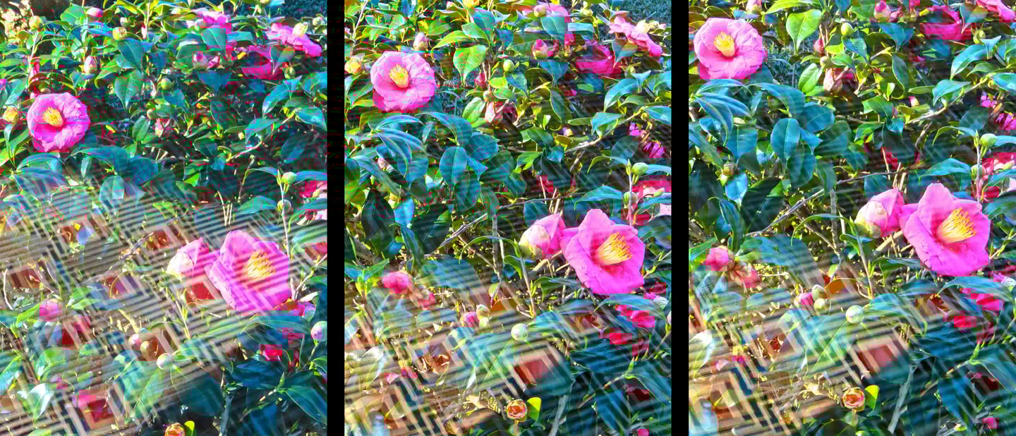 "4 Wolf Prix" © 2025 Heinz Lechner