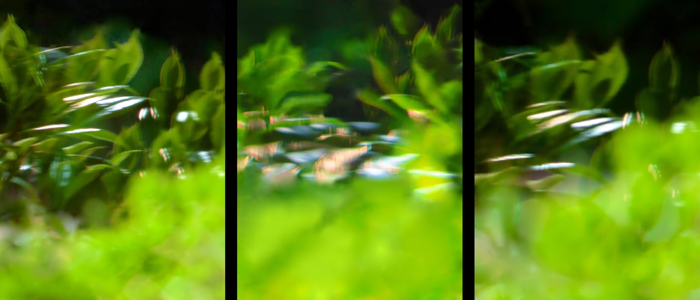 "Margie & Walter" © 2024 Heinz Lechner